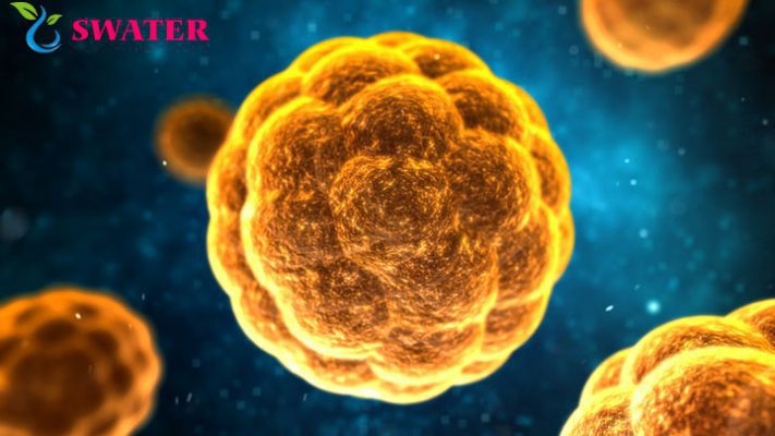 Nguon nuoc ban va nhung can benh nguy hiem